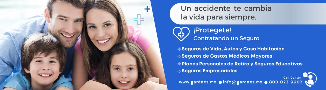 https://contadoresencdmx.com/wp-content/uploads/2025/04/bannerseguros.webp